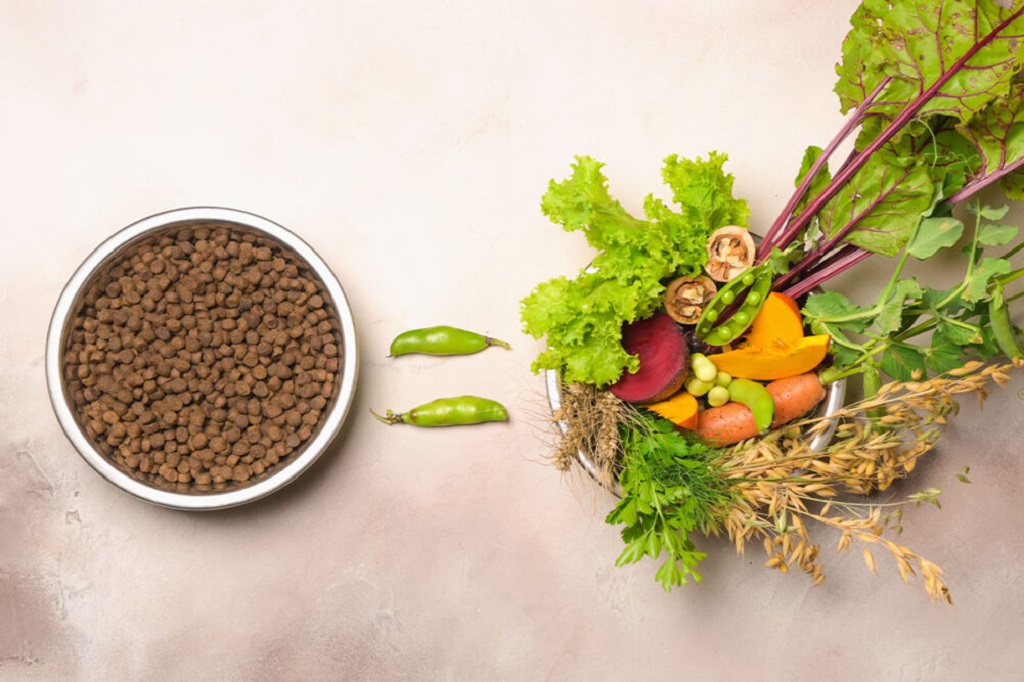 The Future of Plant-Based Pet Food: Growth and Innovation