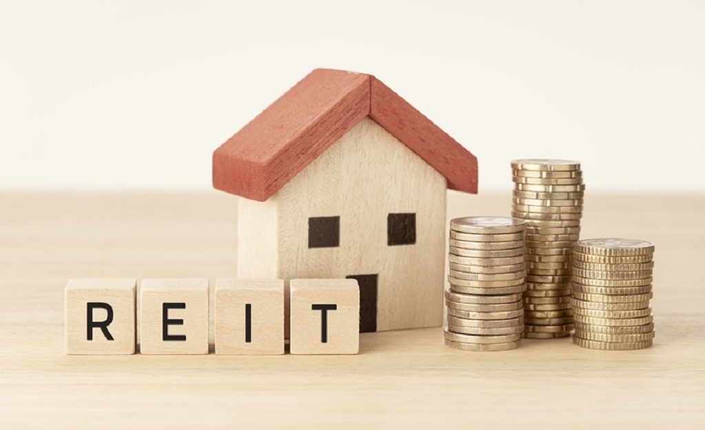 Risks of Investing in REITs